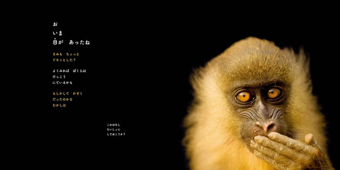 開店祝い PHOTO ARK 消えゆく動物 絶滅から動物を守る撮影プロジェクト