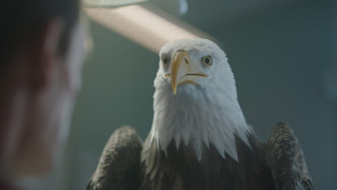ピースメイカー＜シーズン1＞」鷲の“ワッシー”に注目した特別映像